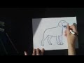 Урок рисования : Собака Бигль! How to draw a dog (beagle). 