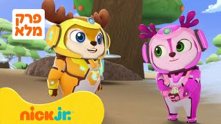 צוות צבי: עונה 3 פרק 1 המלא❗️ | ניק ג'וניור