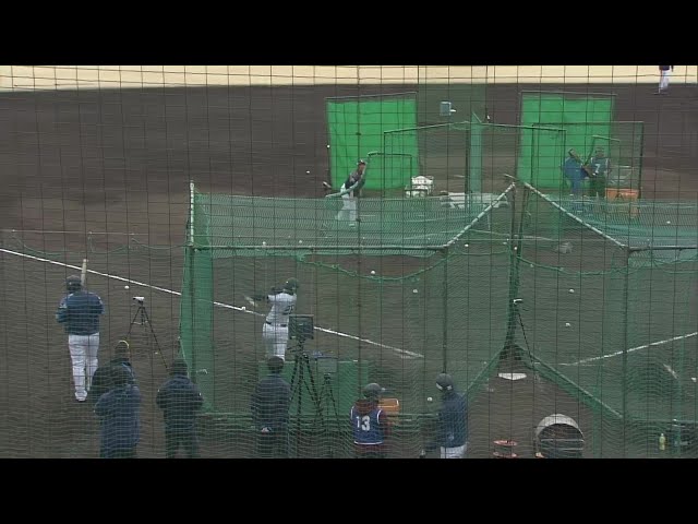 【春季キャンプ】ライオンズ新外国人コンビのセデーニョとネビンがフリー打撃で大きな当たりを放つ!!  2025年2月21日 埼玉西武ライオンズ