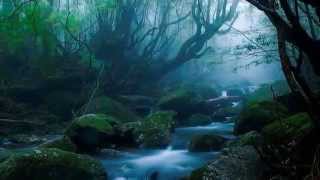 Buenas Noches Mi Amor, Franck Pourcel and orchestra