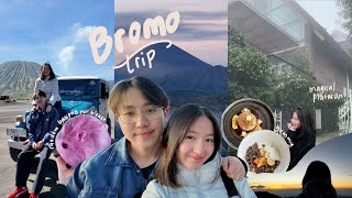 Bromo Vlog 🏔️ | early sunrise, plataran bromo, hotel tour