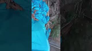  Residential Plot for Sale in Sirsi, Uttara Kannada