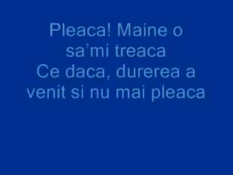 Vunk-Pleaca ft Antonia (Lyrics)