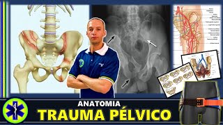 ANATOMIA DO TRAUMA DE QUADRIL