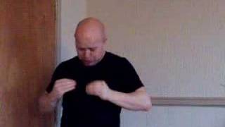 Signed Version "I will Survive"