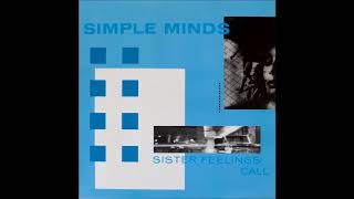 Simple Minds - 20th Century Promised Land