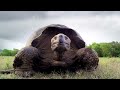 David Attenborough S Galapagos Episode 3