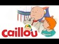 Caillou Caillou S Phone Call S01E53 Videos For Kids
