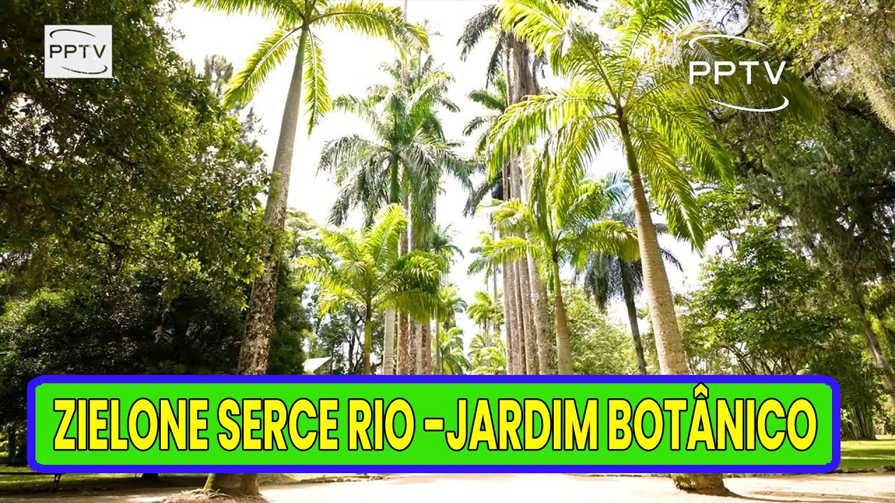 Jardim Botânico w Rio de Janeiro 🌴🇧🇷  Zielone serce miasta, Ogród Botaniczny Brazylii, PPTV