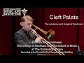 Cleft Palate   Anatomy and Surgery Described