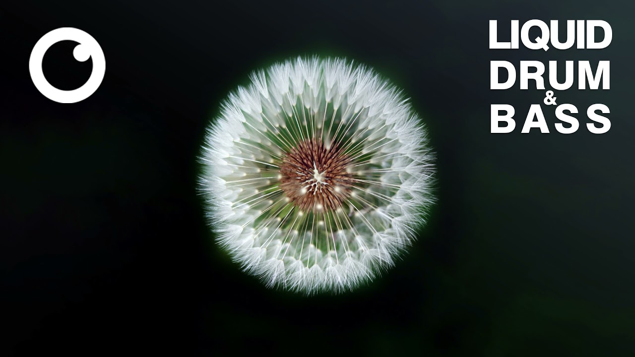 Liquid Drum & Bass Mix 2021 #51