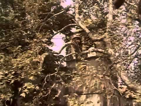 Ο κωμικός Χάρρυ Κλυνν (Βασίλης Τριανταφυλλίδης) στη σπονδυλωτή κινηματογραφική κωμωδία Αλαλούμ (1982), το τρίτο μέρος της οποίας αποτελεί παρωδία της Γκόλφως και των «φουστανελάτων» ταινιών του ελληνικού κινηματογράφου. Η επιλογή του δραματικού ειδυλλίου ως στόχου σάτιρας μαρτυρεί τη βαθιά εγγραφή του είδους στη λαϊκή συνείδηση ως άμεσα αναγνωρίσιμου πολιτισμικού κώδικα.