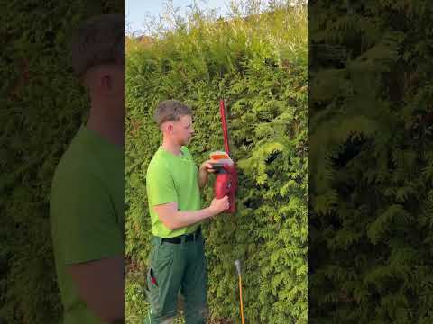20€ Flohmarkt-Schere vs Stihl HSA 56 X Welche ist deine Lieblings- Heckenschere? #Heckenschere