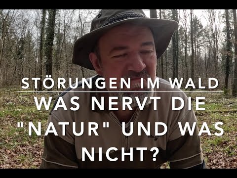 Der "kleine" Wald-Knigge...