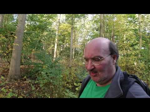 MongoTV_7360 - MIN GÅTUR - Del 11 - Lørdag 16.Oktober 2021 - Flot Vejr Men Meget Blæst