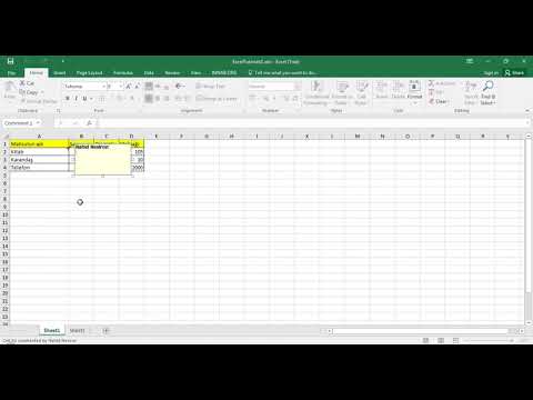 Dərs 1.2   Exceldə Copy, Paste, Cut, Format Painter əməliyyatları