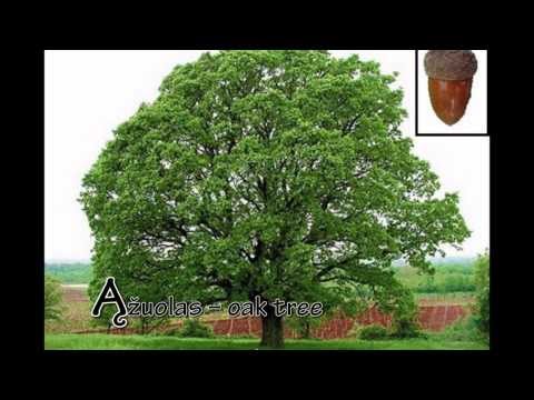 Lithuanian Lesson 2 - Alphabet