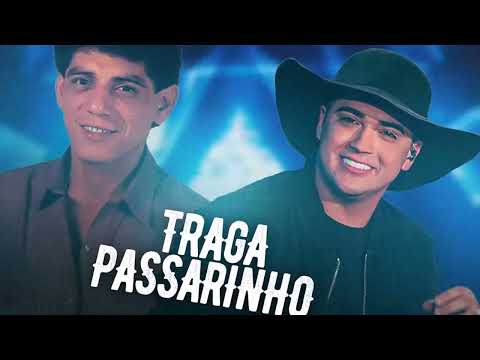 Traga passarinho - Adelino Nascimento [VERSÃO NATANZINHO LIMA ] QUALITYREMIX