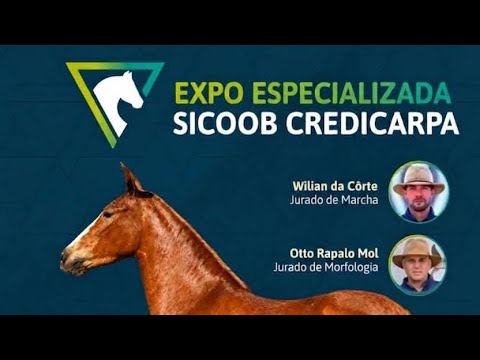 Encerramento da 1ª Expo Especializada do Mangalarga de Carmo do Paranaíba- MG 