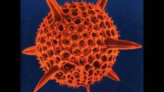 Cause &amp; Effect - Real