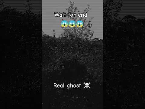 Amazing video #viralvideo #edm #scary #hauntedsounds #creepy #creepysound #eeriesounds