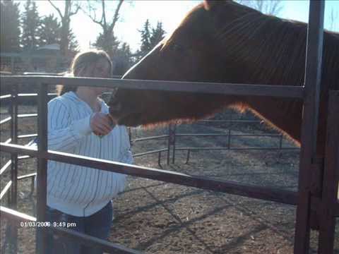 R.I.P Joker I love you till the end