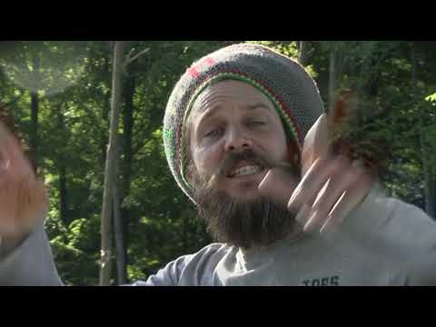 JAH IS LOVE  - DAN I LOCKS meets ASHANTI SELAH - Official Video