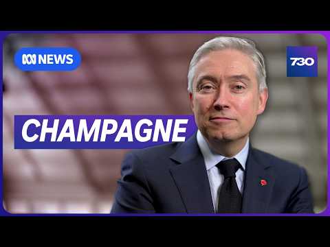 Canada wants a 'more structured partnership' with Australia | 7.30