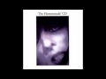 The Homosexuals - Technique Street 