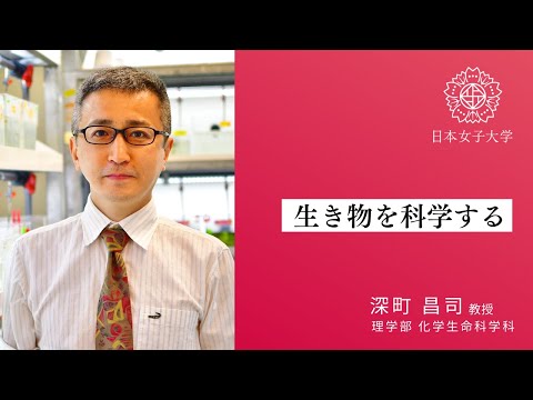 【化学生命科学科】生物_深町昌司教授