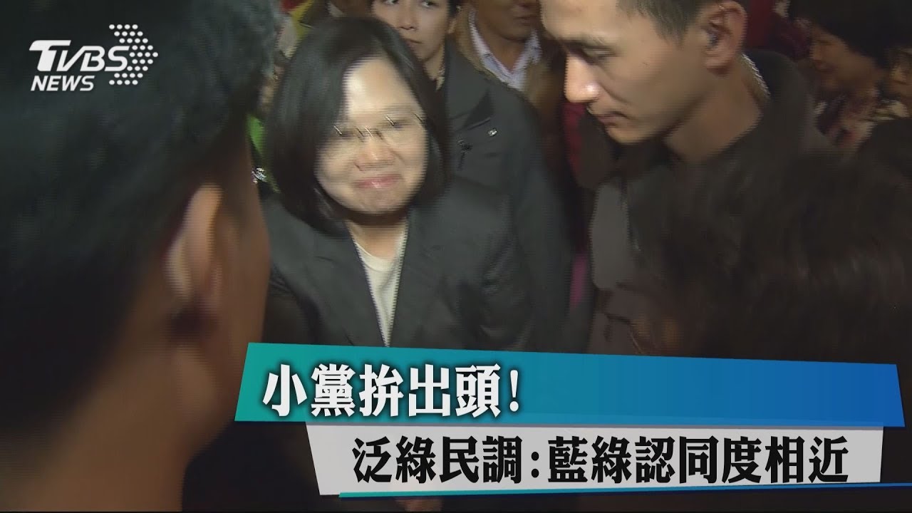 小黨拚出頭! 泛綠民調:藍綠認同度相近
