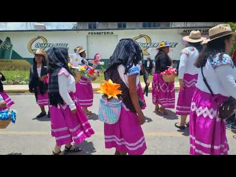 Santa Cruz Tacahua se presentó en la fiesta de San Pedro Molinos, Oaxaca #fyp #viral