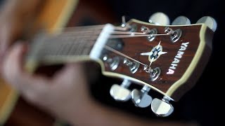 Seelenstaub - Insanity`s Crescendo (Dark Tranquillity Short Cover)