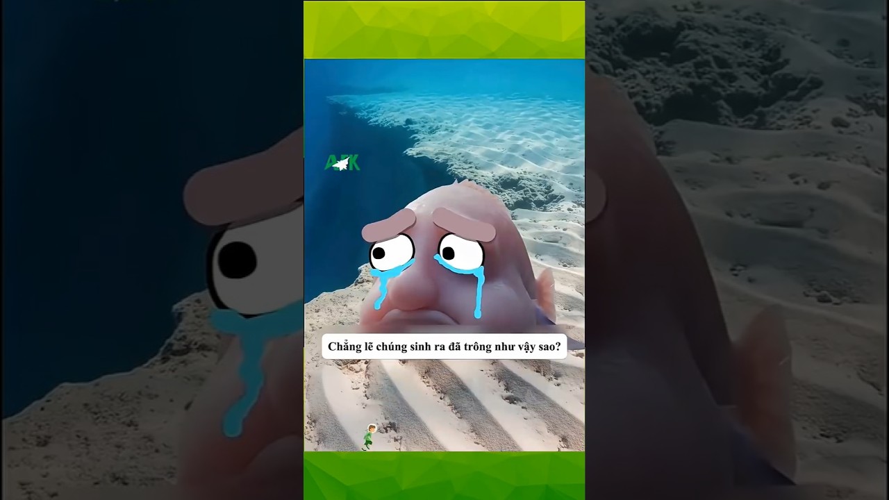 Động vật xấu nhất thế giới