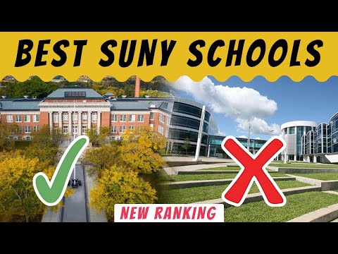 Top Suny Schools 2024
