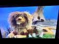 Sesame Street Sing Hoot And Howl DVD Preview