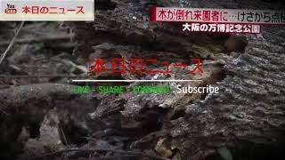 男性の頭に倒木当たる　大阪・万博記念公園 | 本日のニュース