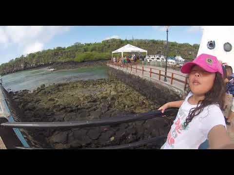 Visitando Isla Santa Cruz Galápagos 
