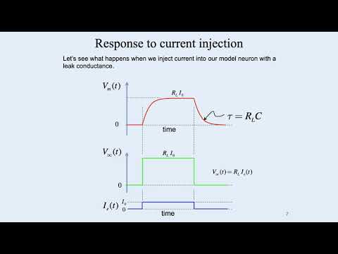 3: Resistor Capacitor Neuron Model - Intro to Neural Computation