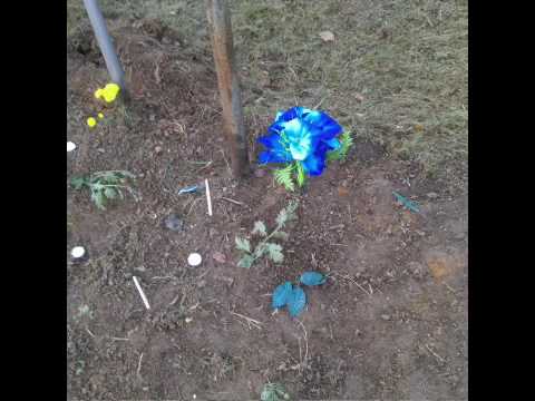 La luminati la Berinta mm