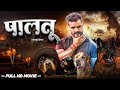 Bhojpuri New Movie पालतू Khesari Lal Yadav Palatu Bhojpuri Hit Film 2023