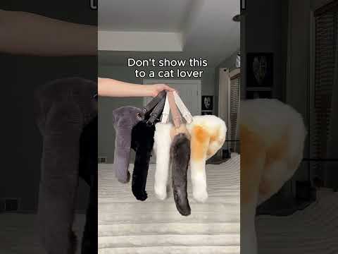 Created for people who can’t help smiling when they see a cat.