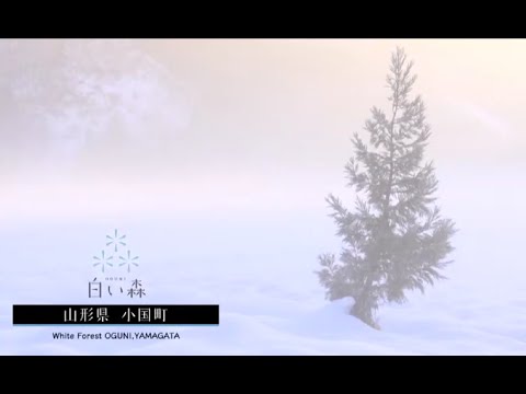 「白い森」　山形県小国町PV