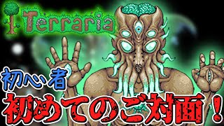 【テラリア】テラリア初心者とうとうムーンロードとのご対面！/初心者は教わりながらマスター攻略するってさPart14【ゆっくり実況】