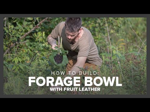 How to Create a Foraging Bowl & Dried Fruit Leather | Surviving in the Wild