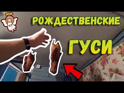 🚌Отправили гусей // Как готовили? // Рождественские гуси