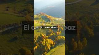 “Dumnezeu e alături de tine” - Daniel Spătan