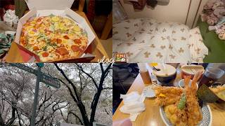 【vlog】ぱんだの日常🌸｜お花見｜準備｜片付け｜病院