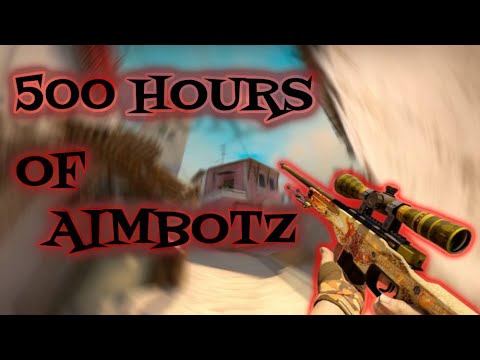500 Hours of Aimbotz Be Like...