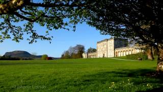 Bach Air on the g-string-Classical Relaxing Orchestral Music-klassieke muziek-rustgevende